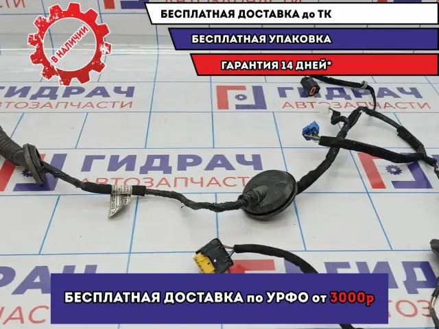 Проводка двери задней левой Kia Cerato 3 91650-A7022.