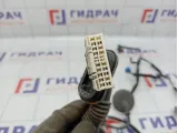 Проводка двери задней левой Kia Cerato 3 91650-A7022.