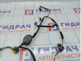 Проводка двери задней левой Kia Cerato 3 91650-A7022.