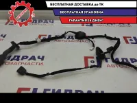 Проводка двери задней правой Kia Cerato 4 91630-M6030.