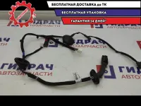 Проводка двери задней левой Kia Cerato 4 91620-M6030.