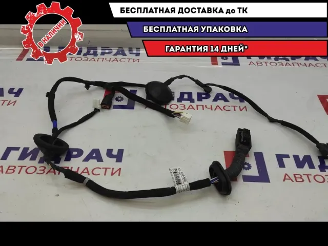 Проводка двери задней левой Kia Cerato 4 91620-M6030.