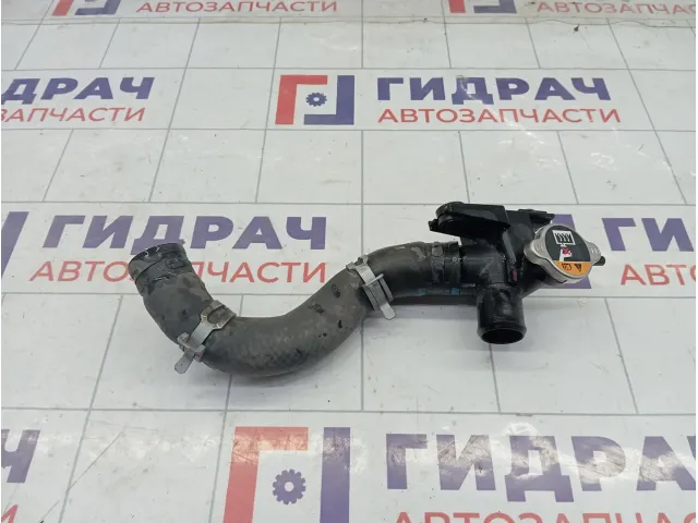 Горловина радиатора Kia Cerato 25329F2000