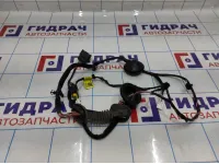 Проводка (коса) двери задней правой Kia Optima (JF) 91660D4190.