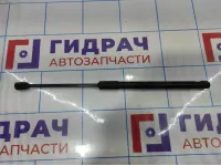 Амортизатор капота Kia Optima (JF) 81161D4001.