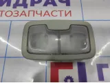 Плафон салонный Kia Optima (JF) 92870D4000.