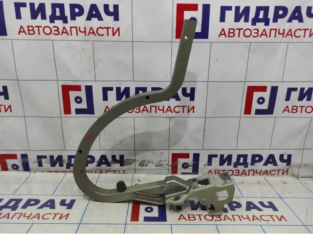 Петля крышки багажника правая Kia Optima (TF) 79220-2T500