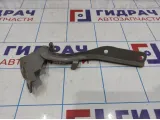 Петля капота левая Kia Optima (TF) 79110-2T000