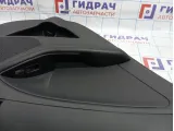 Обшивка двери задней левой Kia Optima (TF) 83303-2T430-DA2