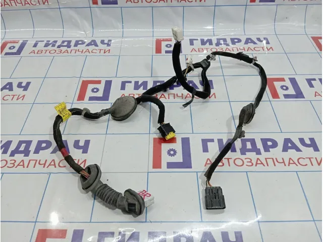 Проводка двери задней правой Kia Optima (TF) 91665-2T070