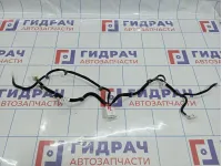 Проводка двери передней левой Kia Optima (TF) 2167618