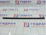 Уплотнитель стекла переднего левого Kia Optima (TF) 82231-2T000