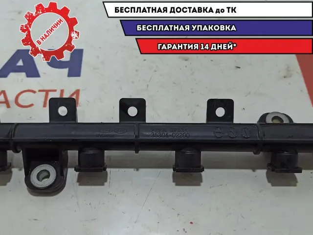 Рейка топливная (рампа) Kia Picanto 35304-02200.
