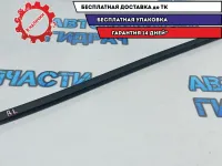 Планка стекла двери задней левой Kia Rio 3 83231-4X000.
