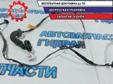 Проводка двери задней левой Kia Rio 3 91650-4Y030. Дефект.