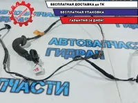 Проводка двери задней левой Kia Rio 3 91650-4Y030. Дефект.