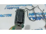 Проводка двери передней правой Kia Rio 3 91610-4Y040.