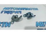 Петли двери задней правой Kia Rio 3.