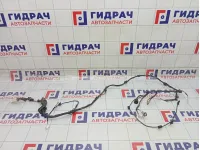 Проводка крышки (двери) багажника Kia Rio 916801G041