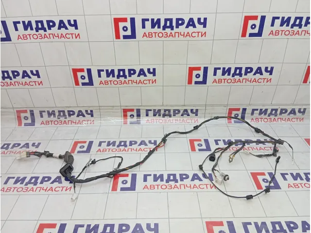 Проводка крышки (двери) багажника Kia Rio 916801G041