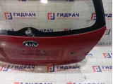 Дверь багажника Kia Rio 737001G320