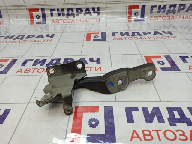 Петля капота левая Kia Rio (QB) 791104Y000