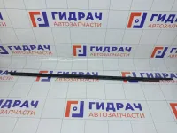 Накладка стекла переднего левого Kia Rio 822104Y000