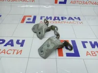 Петли двери передней правой Kia Rio