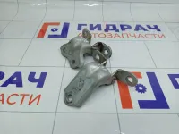 Петли двери задней правой Kia Rio