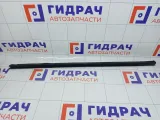 Уплотнитель стекла переднего правого Kia Rio 822414X000