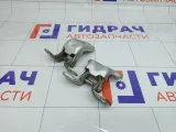 Петли двери задней левой Kia Rio