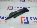Накладка замка двери задней правой Kia Rio 814774Y000