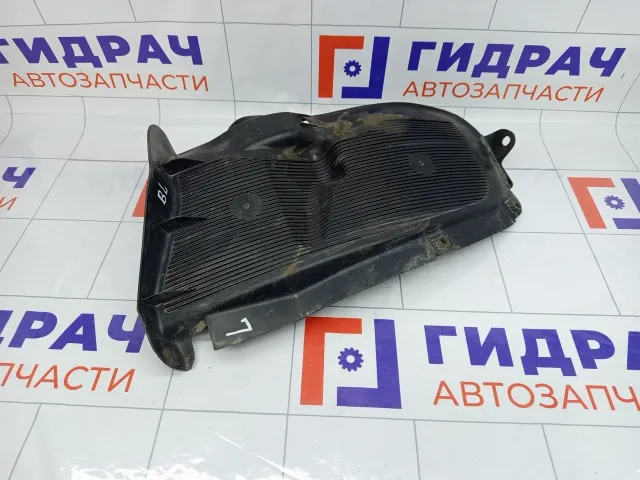Локер (Подкрылок) задний левый Kia Rio 868214Y200