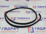 Уплотнитель двери задней правой Kia Rio 831204Y200