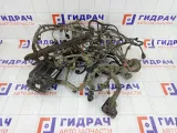 Проводка двигателя Kia Rio 912004Y101