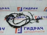 Проводка двери багажника Kia Rio 916804Y030
