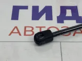 Амортизатор крышки (двери) багажника левый Kia Rio 817704X200