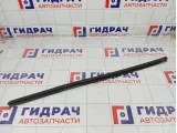 Уплотнитель стекла переднего правого Kia Rio 822414X000