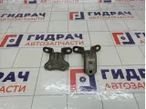 Петли двери задней правой Kia Rio