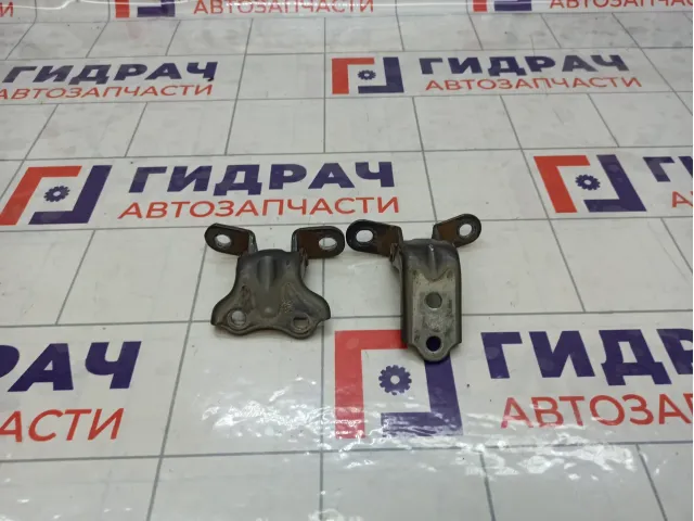 Петли двери задней правой Kia Rio
