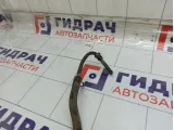 Трубка гидроусилителя Kia Rio 575604L000