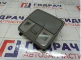 Плафон салонный Kia Rio 928004L0008M