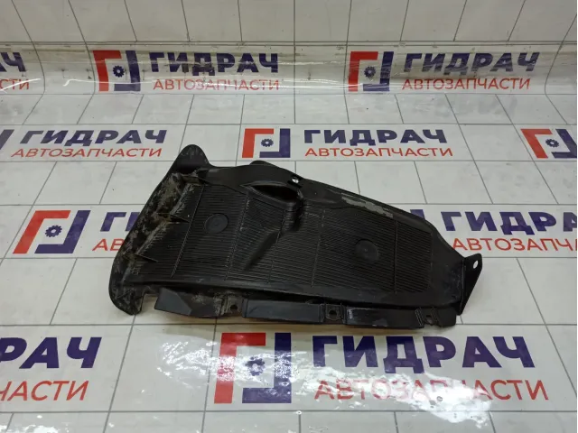 Локер (Подкрылок) задний левый Kia Rio 868214Y000