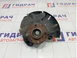 Кулак поворотный передний правый Kia Rio 517160U000