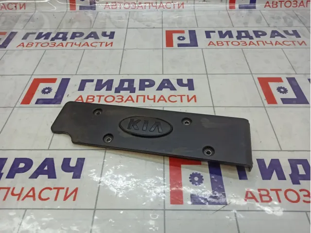 Накладка двигателя Kia Rio 224052B010