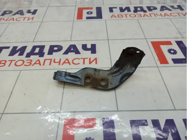 Кронштейн крепления крыла переднего левого Kia Rio 663174Y000