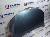 Капот Kia Rio 664004Y000