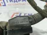 Проводка двери передней правой Kia Rio 3 916104y230