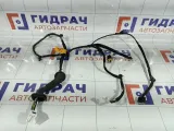 Проводка двери задняя левая Kia Rio 3 916504y130