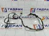 Проводка двери задняя правая Kia Rio 3 916604y130